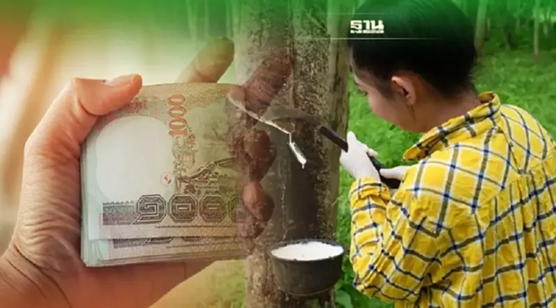 ประกันราคายางเฟส 3 ล่าสุดวันนี้ ธ.ก.ส.โอนเงินเยียวยาวันไหนอ่านด่วนที่นี่ ประกันราคายางเฟส 3 ล่าสุดวันนี้ ธ.ก.ส.โอนเงินเยียวยาวันไหนอ่านด่วนที่นี่