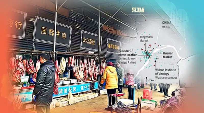 โควิด-19 กำเนิดจากตลาดขายส่งอาหารทะเลหัวหนาน เหตุใดเชื่อแบบนั้น เช็กเลย โควิด-19 กำเนิดจากตลาดขายส่งอาหารทะเลหัวหนาน เหตุใดเชื่อแบบนั้น เช็กเลย
