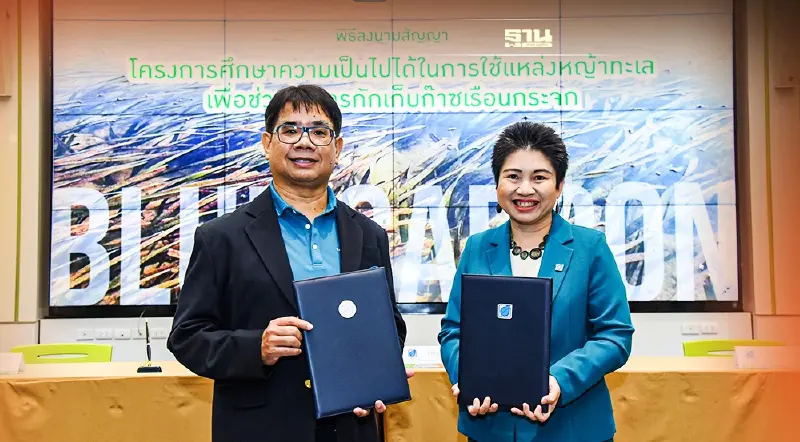 บางจากหนุน Blue Carbon หญ้าทะเล กักเก็บก๊าซเรือนกระจก ครั้งแรกของประเทศ
