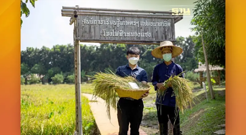 กัลฟ์ โชว์โมเดลศูนย์การเรียนรู้ทางการเกษตร ส่งเสริมไอเดียปลูกข้าวทางเลือกเพื่อสุขภาพ กัลฟ์ โชว์โมเดลศูนย์การเรียนรู้ทางการเกษตร ส่งเสริมไอเดียปลูกข้าวทางเลือกเพื่อสุขภาพ