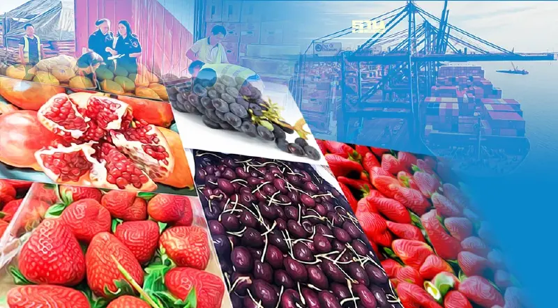 ไทยเอาจริง ยกระดับคุมเข้มสินค้าเกษตรนำเข้า