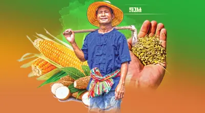 เอกชน ผวา คู่ค้าดัน “ภาษีคาร์บอน” กีดกันสะเทือนเกษตร-ปศุสัตว์ไทย 1  ล้านล้าน