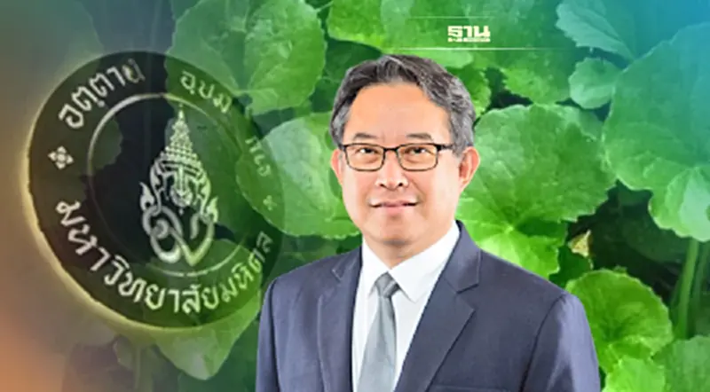 ม.มหิดล -อภัยภูเบศร ดัน "บัวบก พันธุ์ศาลายา 1"เข้าอุตสาหกรรมเวชสำอาง ม.มหิดล -อภัยภูเบศร ดัน "บัวบก พันธุ์ศาลายา 1"เข้าอุตสาหกรรมเวชสำอาง