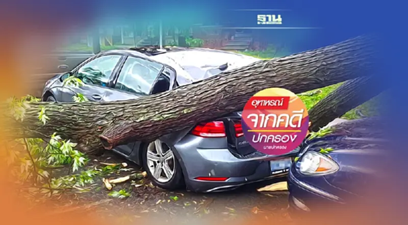 ฝนตกจอดรถใต้ต้นไม้ในที่ห้ามจอด กิ่งไม้หักทับ...รับผิดอย่างไร? ฝนตกจอดรถใต้ต้นไม้ในที่ห้ามจอด กิ่งไม้หักทับ...รับผิดอย่างไร?