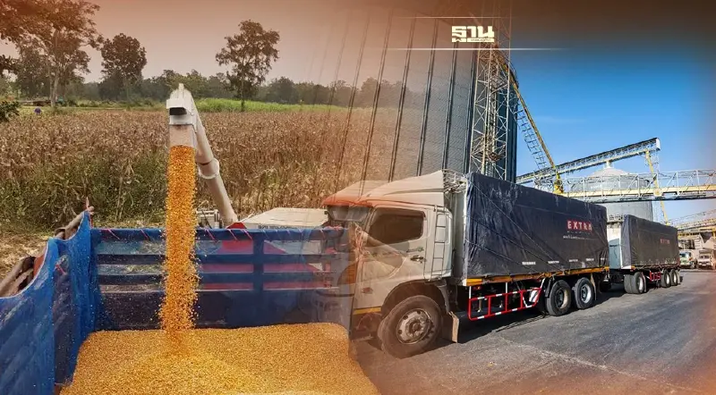 ซีพีเอฟย้ำ รง.อาหารสัตว์ในเครือ รับซื้อข้าวโพดจากเกษตรกรไม่รุกป่า