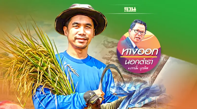 ประกันรายได้ & จำนำข้าว ทำไมใช้เงินก้อนโต ประกันรายได้ & จำนำข้าว ทำไมใช้เงินก้อนโต