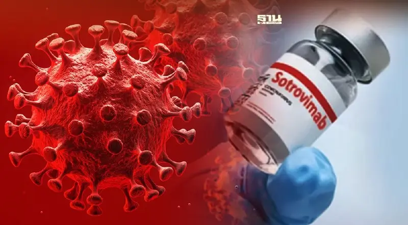 6 ประสิทธิภาพ ยาต้านโควิดโอมิครอน โซโทรวิแมบ "Sotrovimab"