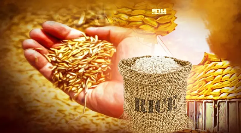 อคส.เร่งระบายข้าวในสต็อก2.2แสนดันให้หมดปีหน้า