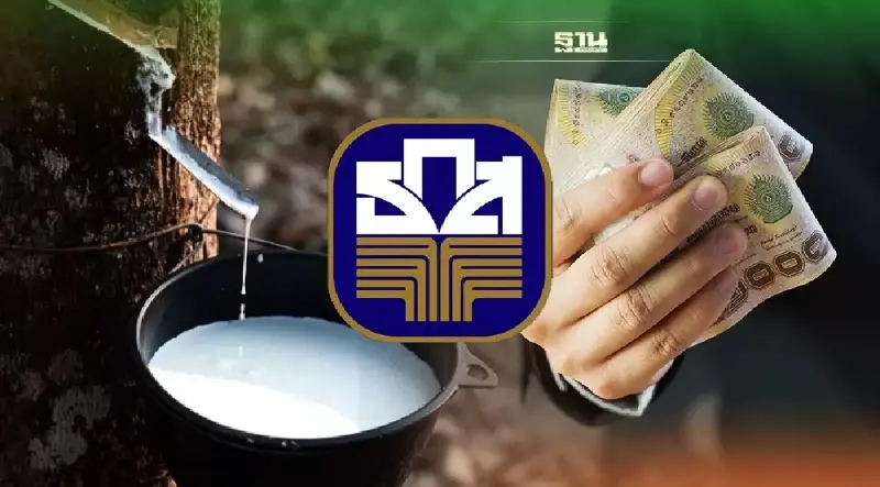 ประกันราคายางเฟส 3 ล่าสุดวันนี้ ธ.ก.ส.โอนวันที่ 20 ธ.ค. อย่าลืมตรวจสอบสิทธิ