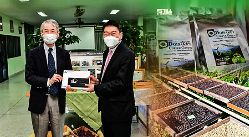 ประกาศความสำเร็จพัฒนาคุณภาพกาแฟ "สหกรณ์ดอยสะเก็ดเชียงใหม่" ประกาศความสำเร็จพัฒนาคุณภาพกาแฟ "สหกรณ์ดอยสะเก็ดเชียงใหม่"