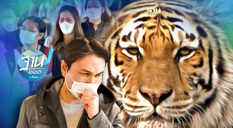 “ปีเสือ” ต้องเข้มแข็ง อยู่ร่วมกับโอมิครอน