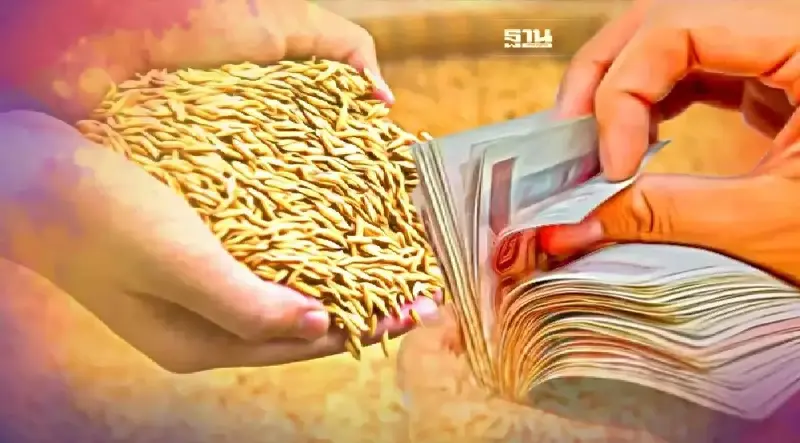 ประกันรายได้ข้าวปี 64 65 เงินช่วยเหลือไร่ละ 1000 ธ.ก.ส.เห็นชอบจ่ายเงินเพิ่ม