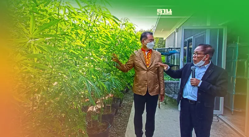 มทส.ผงาดเปิด"โรงสกัดกลั่นน้ำมันกัญชา"ฝีมือไทยคุณภาพระดับโลก