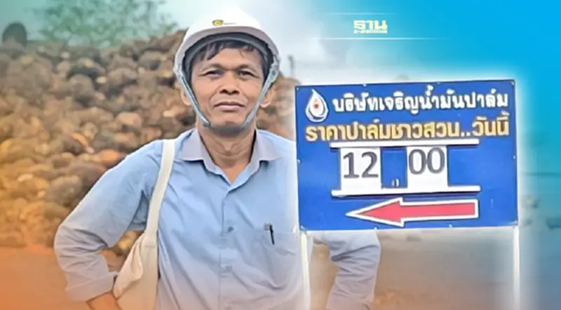 ราคาปาล์ม 12 บาท/กก. พุ่งสูงสุดในประวัติศาสตร์ ราคาปาล์ม 12 บาท/กก. พุ่งสูงสุดในประวัติศาสตร์