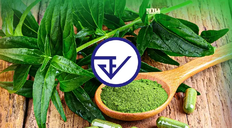 อย. ชง “ปลดล็อกกัญชา” ออกจากยาเสพติดเตรียมถกบอร์ด  19 ม.ค.นี้