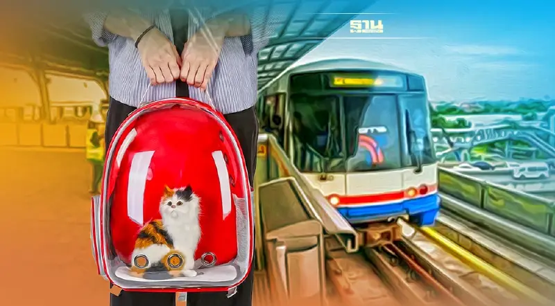 ขึ้นรถไฟฟ้าต้องรู้ “บีทีเอส” งดนำสัตว์เลี้ยงเข้าระบบรถไฟฟ้า