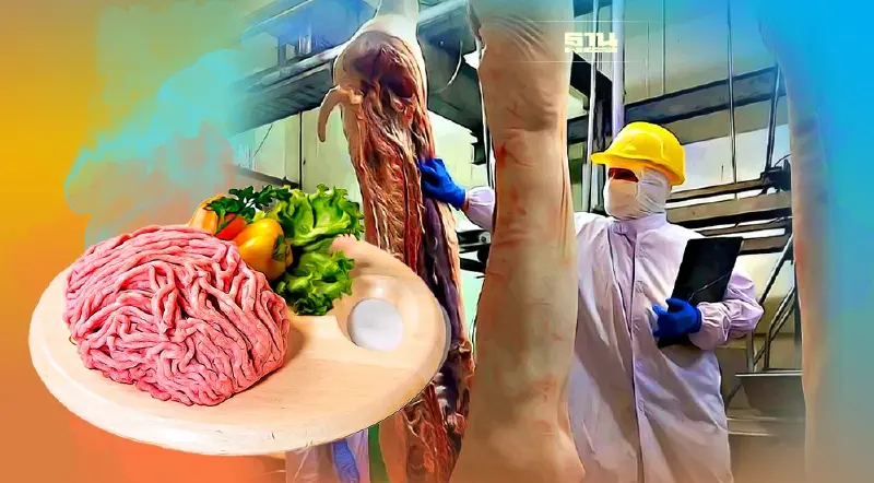 พบหมูสงสัยติด โรค ASF สั่งกำจัดทันที สกัดการแพร่ระบาด