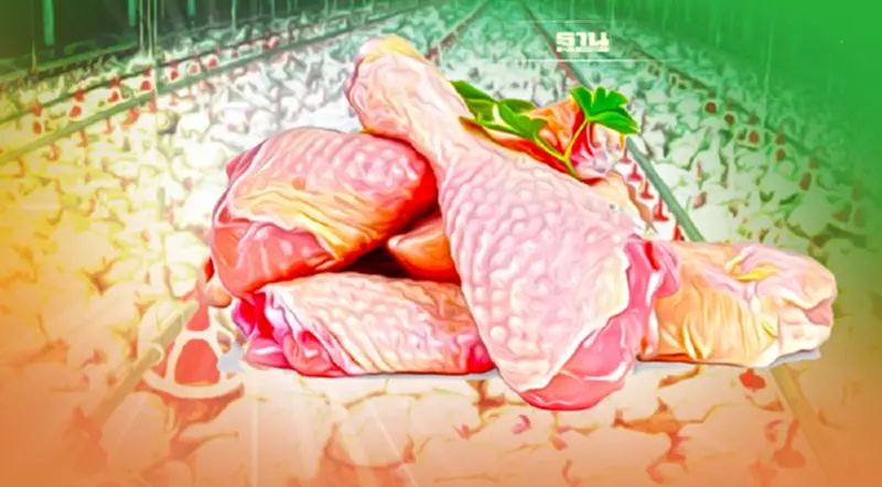 “พาณิชย์” ตรึงราคาไก่หน้าฟาร์ม-ไก่เนื้อ 6เดือน “พาณิชย์” ตรึงราคาไก่หน้าฟาร์ม-ไก่เนื้อ 6เดือน