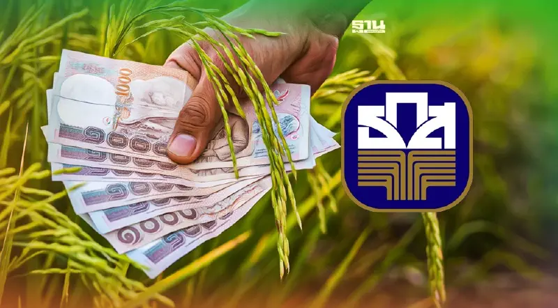 เงินประกันรายได้ข้าว งวดที่ 12 ธ.ก.ส. โอนให้ชาวนาอีก 5.7 หมื่นครัวเรือน