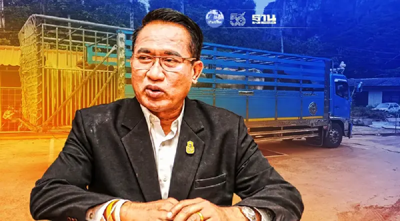 “ปศุสัตว์” ย้ำชัด โรค ASF ไม่แพร่สู่คน-สัตว์อื่น