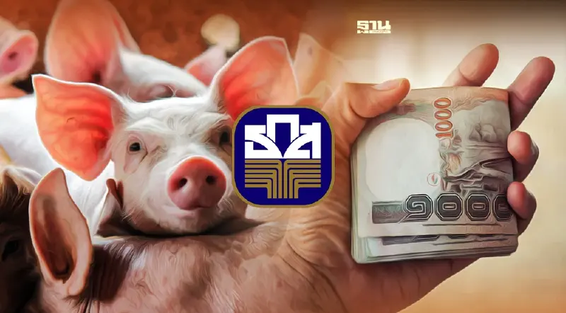 ธ.ก.ส. เติม 3 หมื่นล้าน ให้ดอกต่ำ หนุนเลี้ยงหมู-อาหารสัตว์