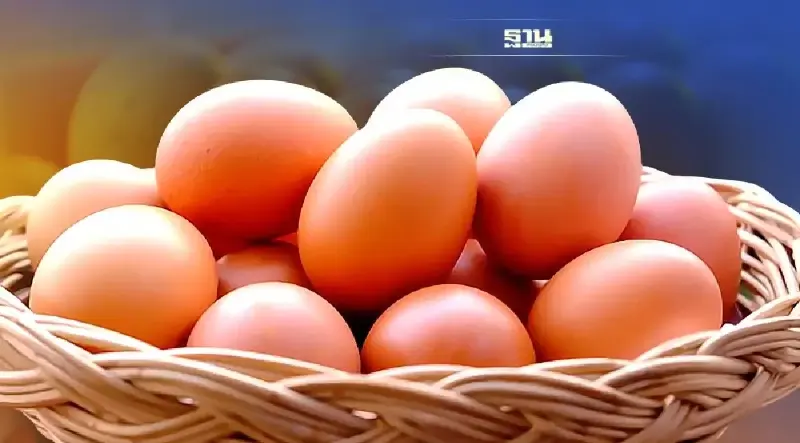 ราคาไข่ไก่วันนี้ สุนทรฟาร์ม จำหน่ายฟองละเท่าไหร่เช็ครายละเอียดที่นี่