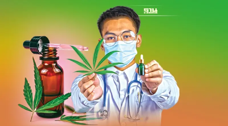 ปลดล็อก ‘กัญชา’ เสรี โอกาสทางการแพทย์-พาณิชย์