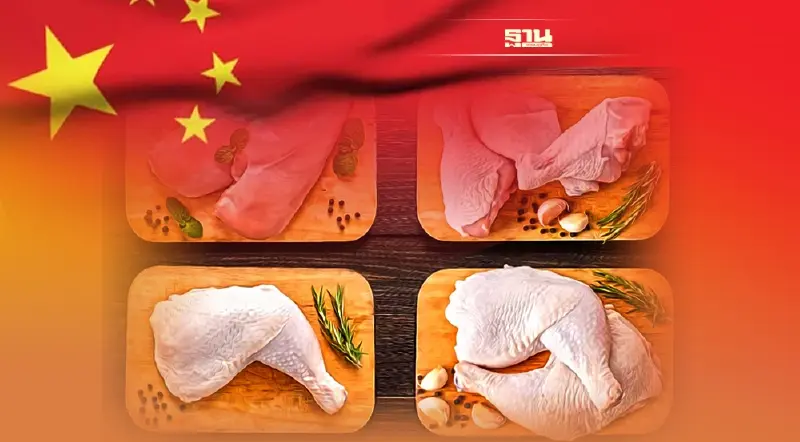 จีน ทำลายผูกขาดตลาด "ไก่เนื้อขนขาว" สำเร็จ ในรอบ กว่า 10 ปี
