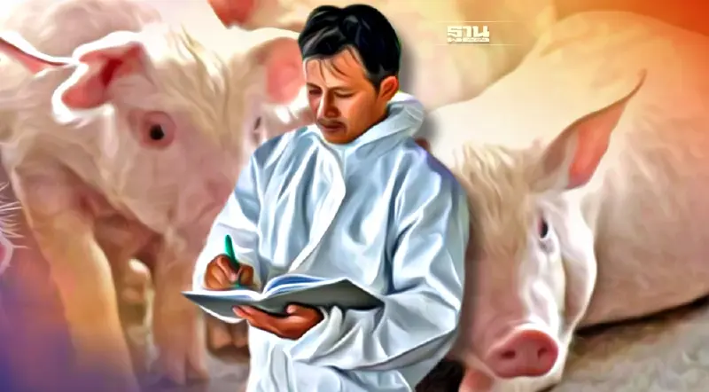  กรมปศุสัตว์สั่งปศุสัตว์ทั่วประเทศตั้งwarroomการระบาดโรคASFในสุกร