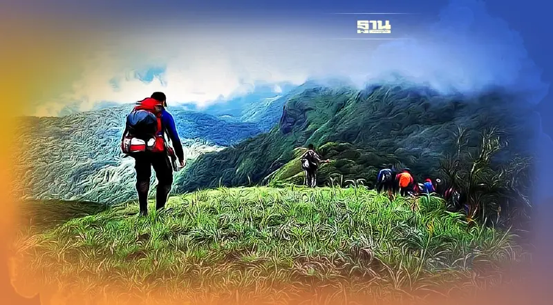 ประกาศปิด! ดอยม่อนจอง อมก๋อย ช้างป่าบุกลานกางเต็นท์ ทำร้ายนักศึกษาบาดเจ็บ
