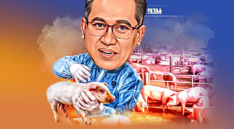 ผวาอหิวาต์หมู พัง1.5แสนล้าน ครัวโลกไทยสะเทือน  อาหารสัตว์วูบ 1 ล้านตัน