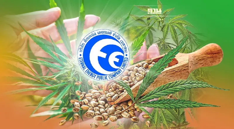 EE ขึ้นแท่นผู้นำต้นน้ำ “กัญชง”  เล็งจับมือพาร์ทเนอร์ลุยกลาง-ปลายน้ำ