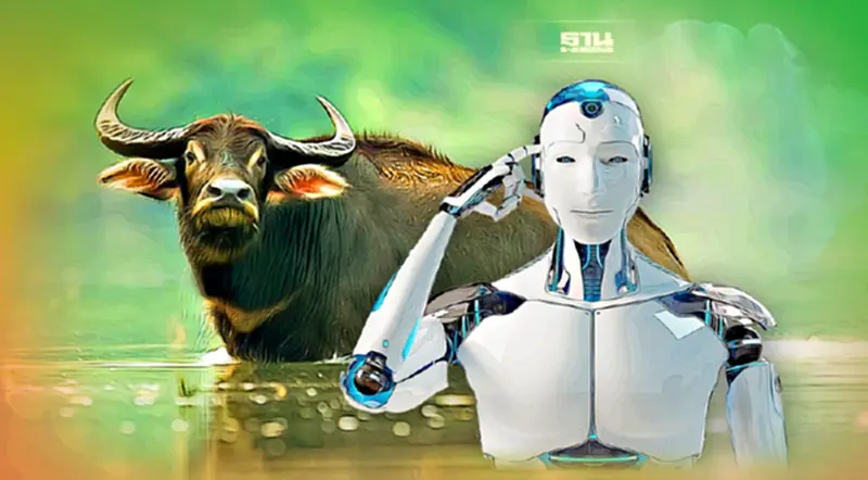 เจ๋ง! ใช้ AI เก็บ "ลายจมูก" ระบุอัตลักษณ์ "ควาย" แบบไม่เจ็บตัว เจ๋ง! ใช้ AI เก็บ "ลายจมูก" ระบุอัตลักษณ์ "ควาย" แบบไม่เจ็บตัว