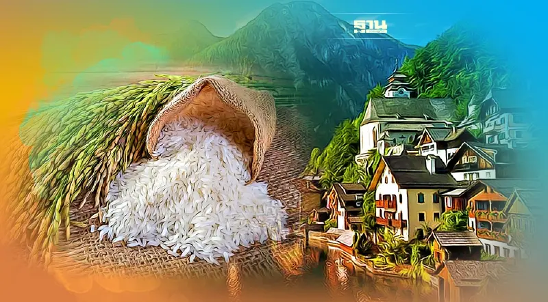 เตือนรับมือ ข้าวหอมกัมพูชา รุกตลาดออสเตรีย เพิ่ม