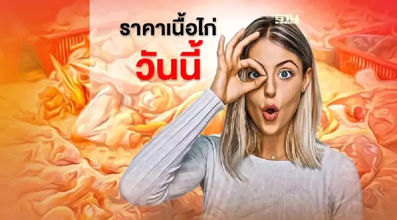 ราคาไก่สด ตลาดไท วันนี้ หลังกระทรวงพาณิชย์ประกาศตรึงราคา เช็คที่นี่