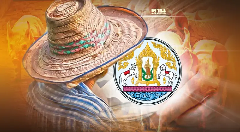 "นายกฯ"เร่งกรมปศุสัตว์  จ่ายเงินชดเชย ผู้เลี้ยงหมู 56 จังหวัด