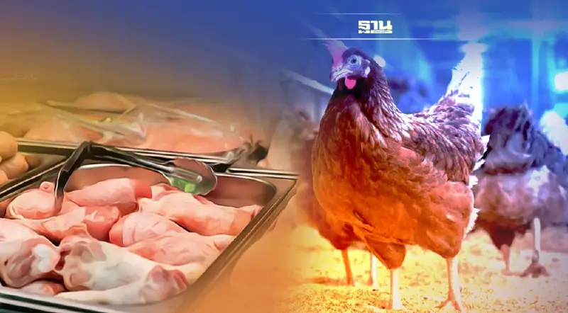 ราคาไก่ยังเพิ่ม แม้ภาครัฐมีมาตรการแทรกแซง