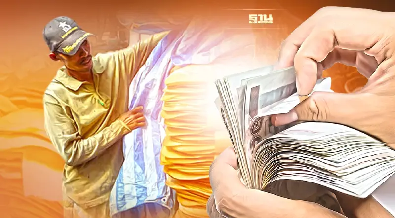 ประกันรายได้ยาง ปี3 โอนเงินงวดล่าสุดแล้ว 1.88ล้านครัวเรือน