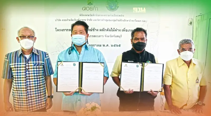 “ดอยคำ”หนุนกลุ่มรักษ์ช้างผลักดันไม้ฝาง แก้ปัญหาช้างบุกรุกพื้นที่