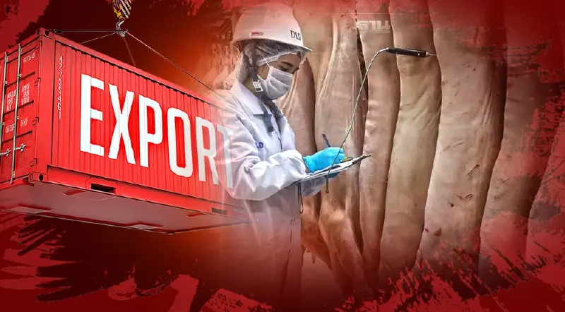 กรมปศุสัตว์ ชี้โรค ASF หมู ไม่สะเทือนไทย คาดส่งออกปี 2565 ถึง 2.3 หมื่นตัน