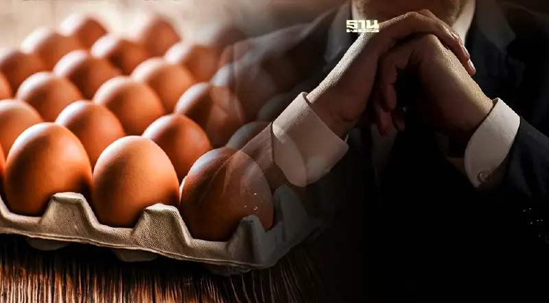 เปิดหน้า แฉ "ไข่ไก่" ราคาแพง ทุนใหญ่กินรวบ ?