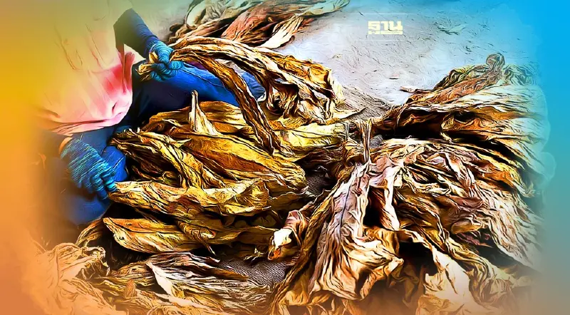 “บุหรี่เถื่อน”ทะลักรับปีใหม่ จี้รัฐเร่งแก้หวั่นกระทบอุตฯยาสูบ 2 แสนล้าน