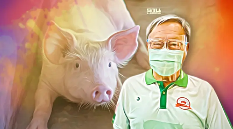 คนเลี้ยงหมูท้อ ตกเป็นจำเลยสังคม ทำราคาสินค้าแพงยกกระบิ คนเลี้ยงหมูท้อ ตกเป็นจำเลยสังคม ทำราคาสินค้าแพงยกกระบิ
