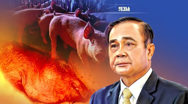 "นายกฯ"สั่งกรมปศุสัตว์ เร่งตรวจสอบฟาร์มหมู สกัดโรคระบาด "นายกฯ"สั่งกรมปศุสัตว์ เร่งตรวจสอบฟาร์มหมู สกัดโรคระบาด