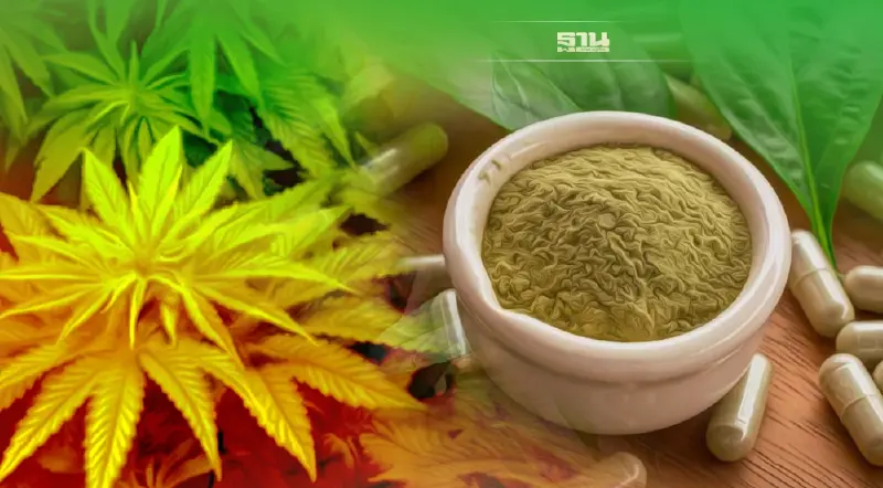 ‘ไทย’ เร่งปักหมุด มหาอำนาจของโลกด้านสมุนไพร