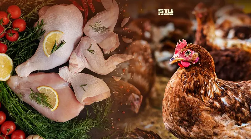 เช็คด่วน! ครม.เคาะสินค้าควบคุมปี 2565 รวม 5 รายการ มีอะไรบ้าง