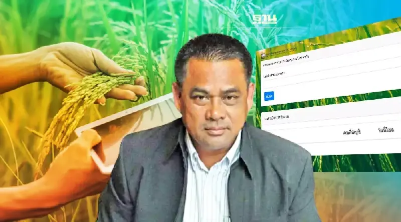 เช็คด่วน “ประกันรายได้ข้าว” งวด 14 ออกแล้ว