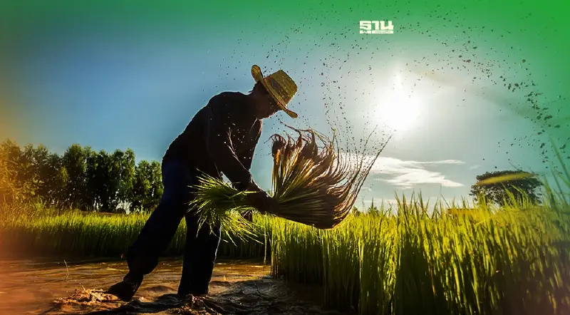 มติครม.ขยายเวลาสินเชื่อเกษตรแปลงใหญ่ถึงสิ้นปี 2575