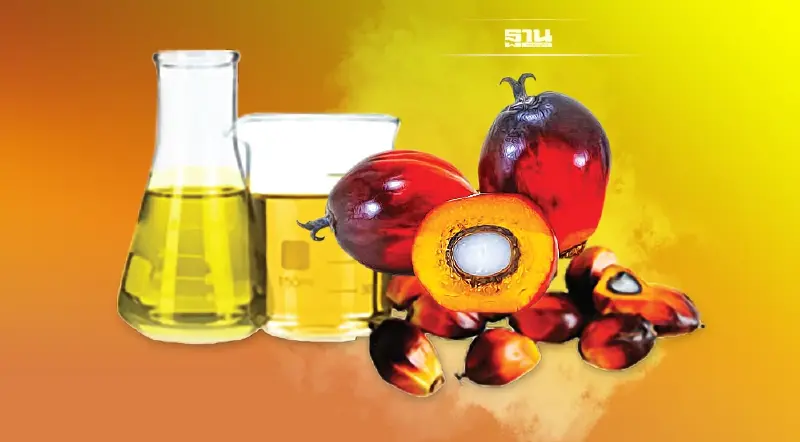 โรงสกัด-โรงกลั่นแย่งซื้อ ดันราคาปาล์มขวดพุ่ง  “บิ๊กตู่” สั่งลุย ตรวจสต๊อก