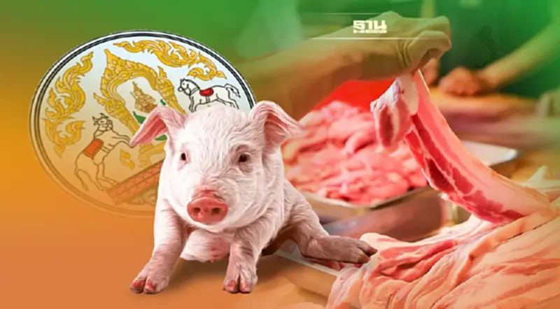 “หมูแพง” บ่งบอกประสิทธิภาพ กรมปศุสัตว์ “ไม่ดีพอ” “หมูแพง” บ่งบอกประสิทธิภาพ กรมปศุสัตว์ “ไม่ดีพอ”